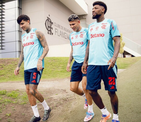 Flamengo x Santos: retrospecto, arbitragem e mais informações sobre o duelo pelo Brasileirão