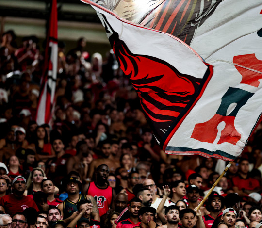 Flamengo x Remo: informações sobre venda de ingressos para a partida válida pelo Brasileiro