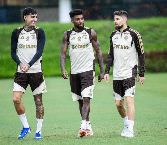 Botafogo x Flamengo: retrospecto, arbitragem e mais informações sobre o clássico pelo Brasileirão