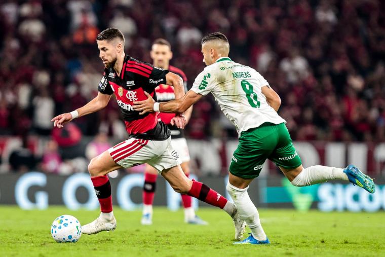 Flamengo perde para o Palmeiras no Maracanã e interrompe sequência positiva no Brasileirão Flamengo perde para o Palmeiras no Maracanã e interrompe sequência positiva no Brasileirão