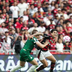 Gilvan de Souza/Flamengo