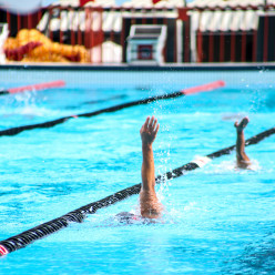 Julliana Nascimento / CRF