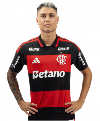 Luiz Araújo